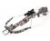 ExoMax