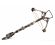Stealth XLT (2124)