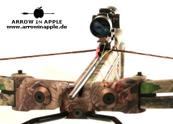 Pro Elite QX 4 (775)