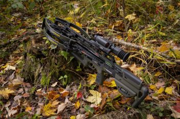 TX Ultra 29.5 (5409)
