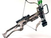 Micro 308 short (3093)