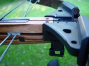 Safari Classic (745)