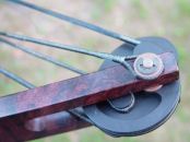 Safari Classic (747)