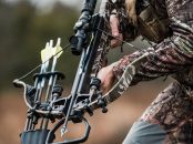 Wolverine Bottomland (40th Anniversary) (4361)