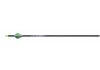 20" TenPoint ACU-X 20 Premium Carbon, 2" Blazer Vanes, .001, Messing Insert, ACU-X Snap-On Nock gr&uuml;n (5345)